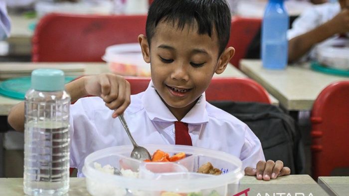 Makanan Bergizi Buatan Rumah Lebih Aman untuk Anak