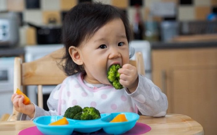 Makanan Anak untuk Meningkatkan Nafsu Makan