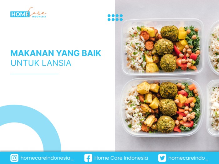 Menu Sehat untuk Lansia agar Tetap Aktif