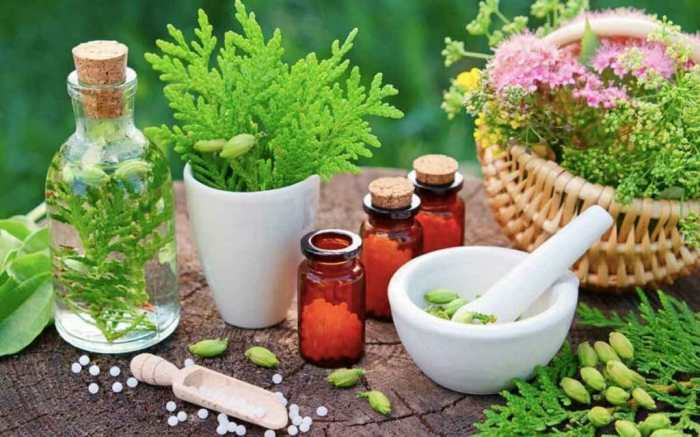 Manfaat Minuman Herbal untuk Imunitas Tubuh