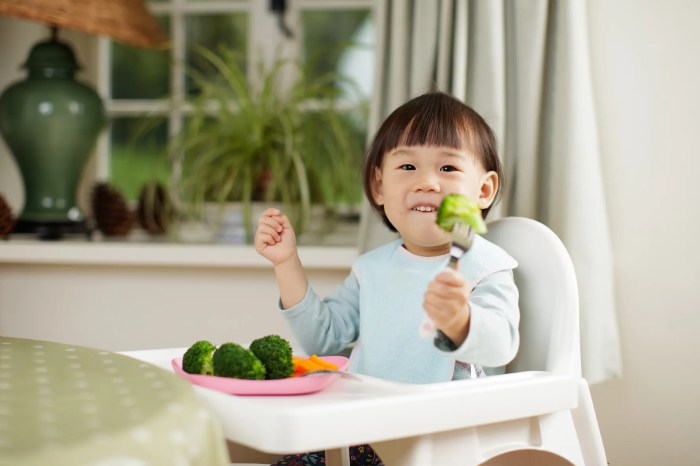 Kandungan Gizi Penting dalam Makanan Anak Sehari-hari