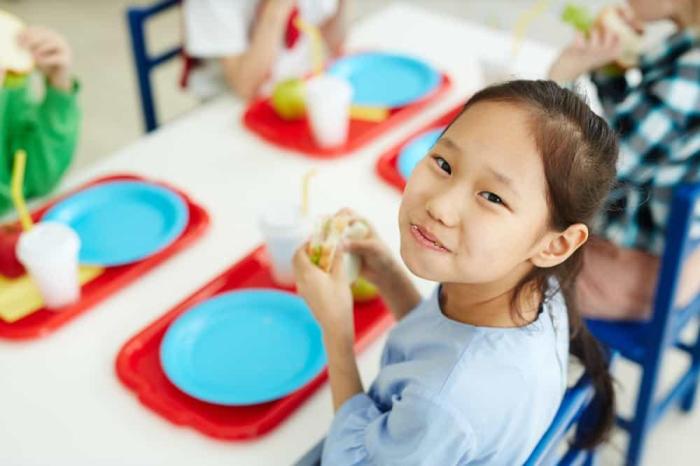 Kandungan Gizi Penting dalam Makanan Anak Sehari-hari