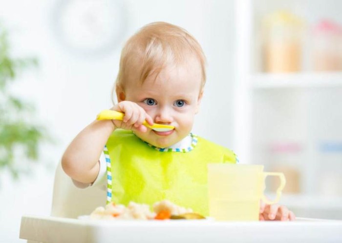 15 Makanan Tinggi Kalori untuk Tambah Berat Badan Bayi Makanan Tinggi Kalori Sehat untuk Bayi Kurang Berat Badan