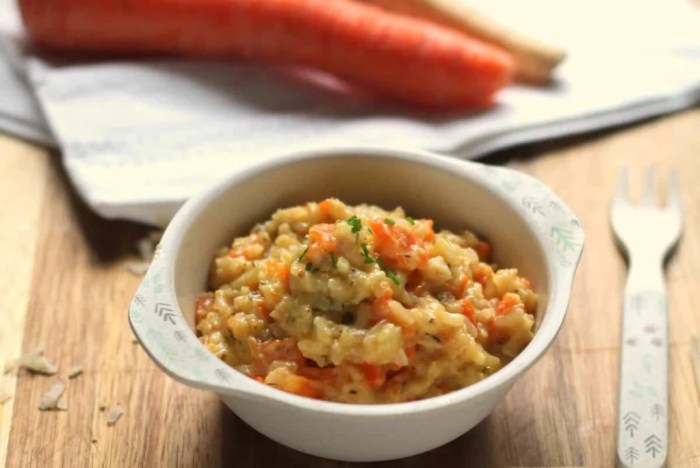 Resep Membuat Bubur Ayam, Cocok Banget Buat Ide Jualan! Resep Bubur Ayam Wortel untuk Bayi 9 Bulan
