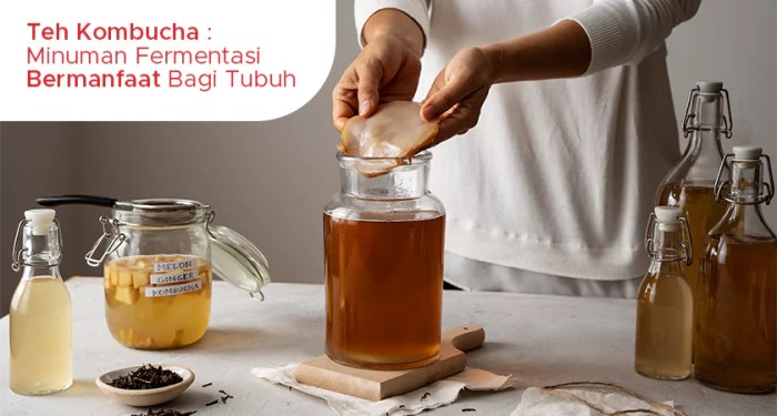 Jual Kombucha Black Tea Minuman Fermentasi Probiotic | Shopee Indonesia Kombucha, Minuman Fermentasi yang Lagi Viral