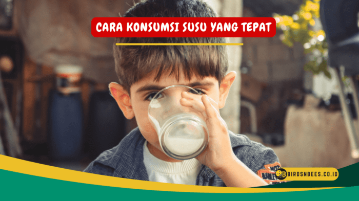 Cara Transisi dari Susu ke Makanan Padat untuk Bayi | MY24 HOURS Waktu Ideal Memberikan Susu dan Makanan Padat