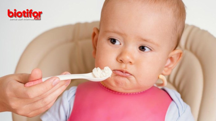 Mengatasi Anak yang Sering Ngemil tapi Tidak Mau Makan Besar