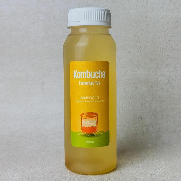 Jual Minuman Sehat/Minuman Kombucha KOMTOL (Kombucha Botol)-Original ...