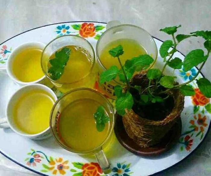 7 Minuman Tradisional Indonesia yang Bermanfaat untuk Kesehatan 7 Minuman Tradisional Indonesia yang Bermanfaat untuk Kesehatan